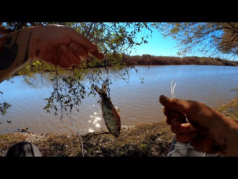 Pescando en el rio y cocinando, pesca con atarraya y trampero, tarariras, bagres, pesca de barrio