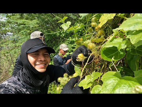 EP708-P2 - Foodtrip sa Isla | Another Failed Attempt