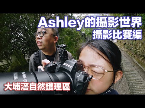 Ashley的攝影世界 - 攝影比賽小學組冠軍編 | 大埔滘自然護理區 | 生態遊 | Nikon | Z8 | Zf | NIKKOR Z 180-600mm | Z DX 50-250mm