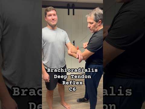 Brachioradialis Deep Tendon Reflex for C6 NRC #physicaltherapy