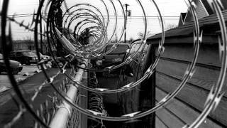 arid - little things of venom