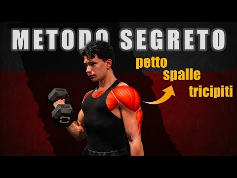PETTO SPALLE E TRICIPITI | BULK EP. 1 – Verso i 75KG