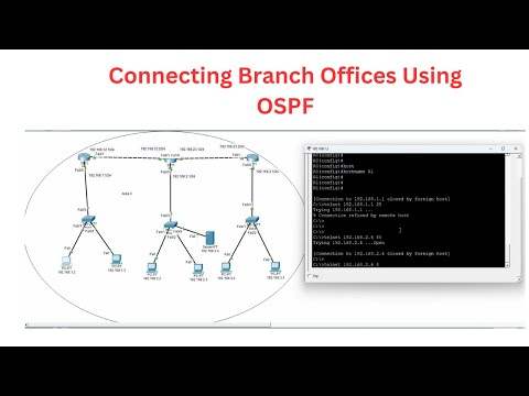 Connecting Different Branches with OSPF | CCNA Lab in CISCO Packet Tracer