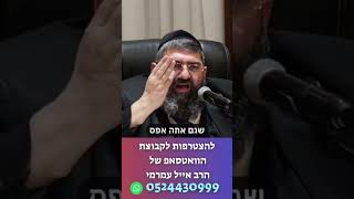 ⭐️הרב אייל עמרמי⭐️ #הרב_אייל_עמרמי #מוסאיוף #פרשת_השבוע #אמונה (בית הכנסת מוסאיוף - ערוץ חדש) - התמונה מוצגת ישירות מתוך אתר האינטרנט יוטיוב. זכויות היוצרים בתמונה שייכות ליוצרה. קישור קרדיט למקור התוכן נמצא בתוך דף הסרטון