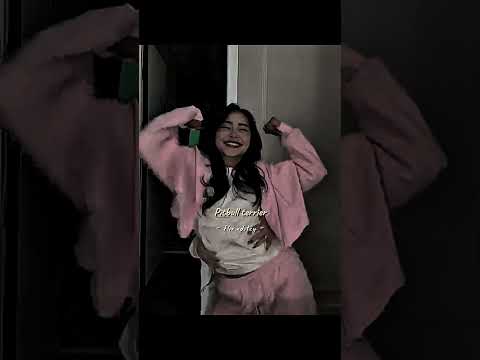 Tiktok Viral Trend | Pitbull Terrier Trend #tiktok #trending #editlyrics #lyrics #pitbullterrier