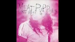 Meat Puppets - Station