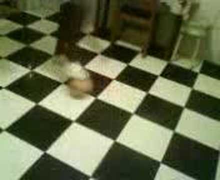 Elástico do Edinho alá Rivelino