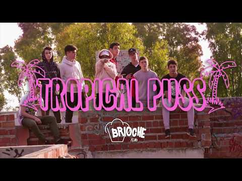 Making Off TropicalPuss1