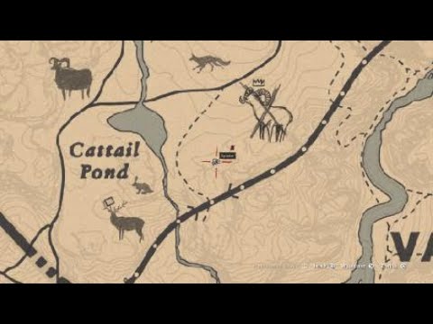 Red Dead Redemption 2 -Perfekter Widderkadaver Guide