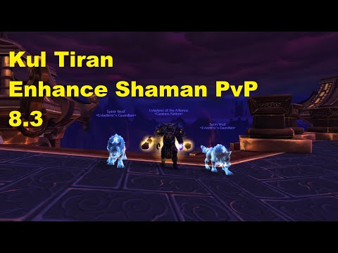 WoW 8.3 Enhance Shaman PvP - ANOTHER SHAMAN?! - Lvladen