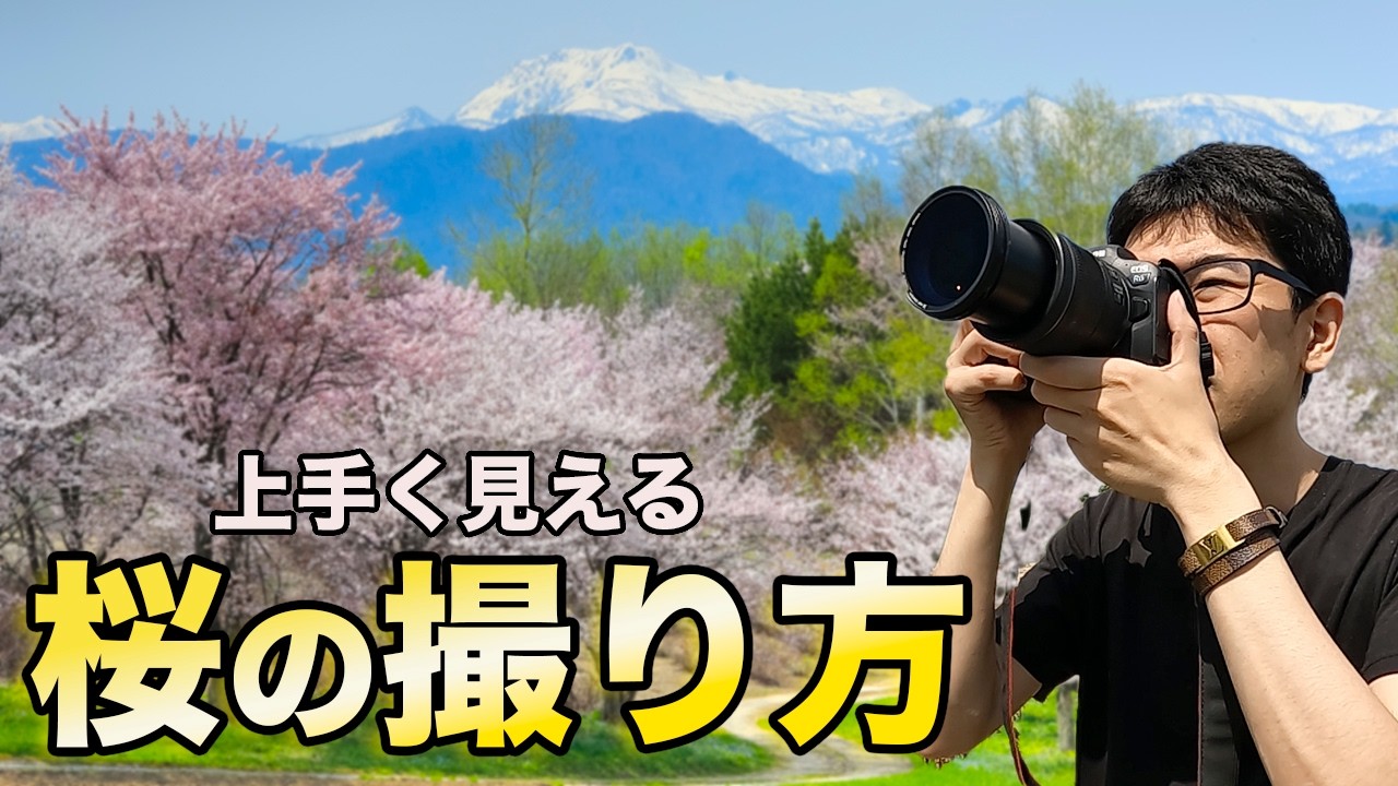上手く見える桜の撮り方！【解説】【写真家】