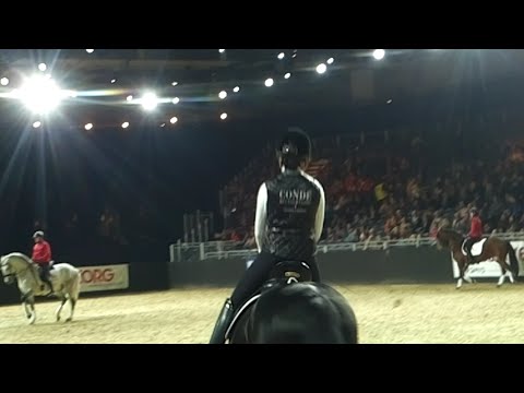 Equitana 2015 - Vanessa & Souverän