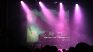 Panda Bear-You Can Count On Me