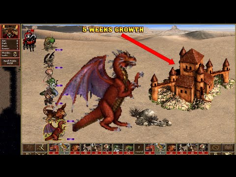 Heroes 3 COMBAT Five weeks growth Dungeon vs Dragon Utopia HoTA