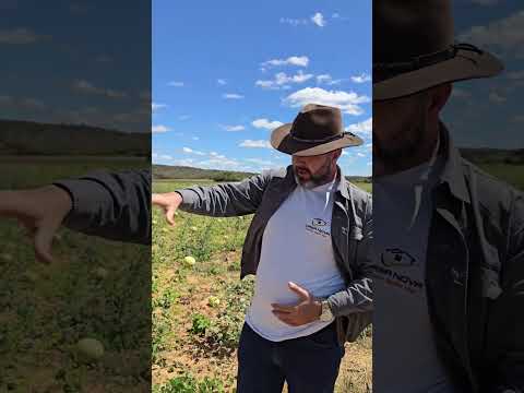 🌾 FAZENDA EM SANTA LUZIA – 560 HECTARES COM GRANDE POTENCIAL AGRÍCOLA 🌾