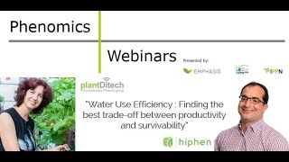 Water Use Efficiency: Finding The Best Trade-Off Between Productivity And Survivability