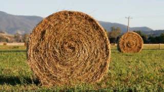 saw doctors hay wrap