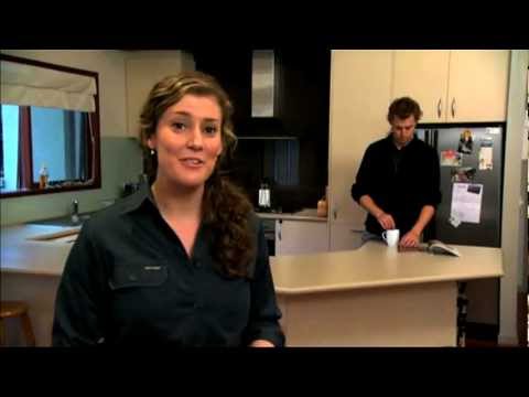 The Big Cheese Rats and Mice Around the Home