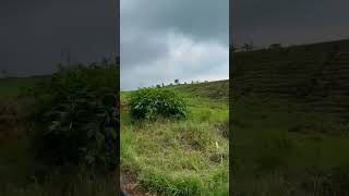 Download lagu Pemandangan Bukit-bukit Di pedesaan Nan Indah #pemandangan #alam #pesonaindonesia mp3 Download lagu Pemandangan Bukit-bukit Di pedesaan Nan Indah #pemandangan #alam #pesonaindonesia mp3