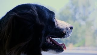 GRIVE – “How Many Years”