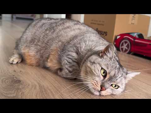 YouTube 썸네일