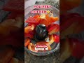 Peri Peri Chicken Marination Periperichicken Marination Comingsoon Desimasala