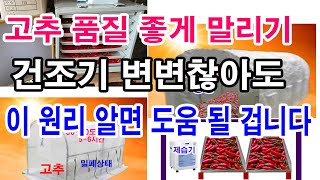 고추 품질 좋게 말리기. 건조기 변변찮아도 이 원리 알면 도움 될 겁니다.-고추 건조법, 고추 깔끔하게 말기…