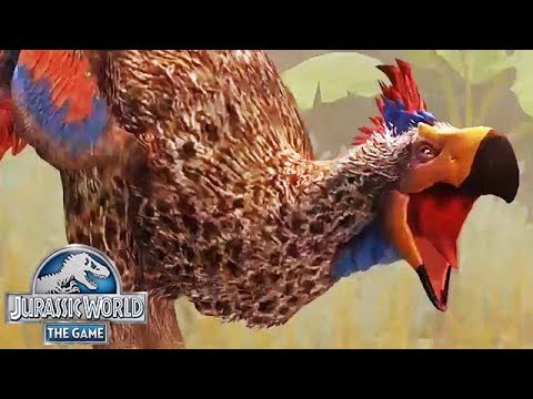 NEW LEVEL 40 GASTORNIS SNEAK PEEK!!! (JURASSIC WORLD)