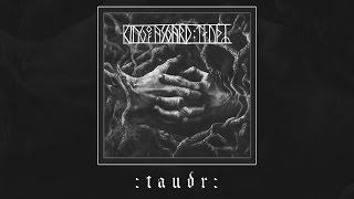 KING OF ASGARD :taudr: (teaser)