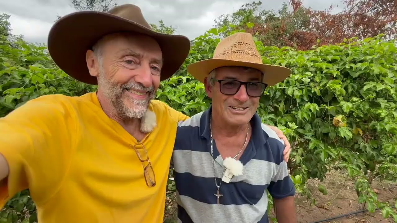 O PLANTIO CONVENCIONAL DO MARACUJÁ - MENDONÇA MG