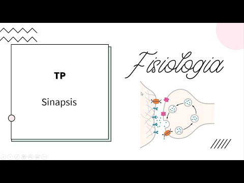 Neurofisiología - Sinapsis - UBA - MEDICINA