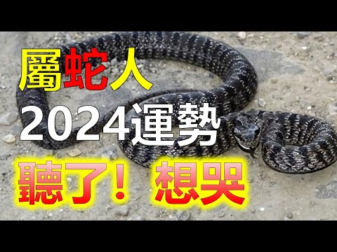 蛇皮好運