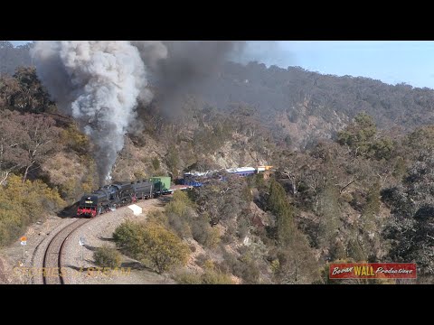 Australian steam locomotive Garratt 6029 - Canberra to Thirlmere - July 2015