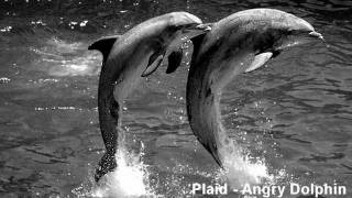 Plaid - Angry Dolphin (unreleased mix) 1998