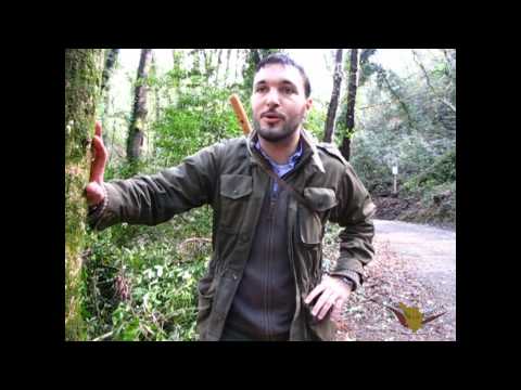 Tartufo Record trovato da Cristiano e Luciano Savini