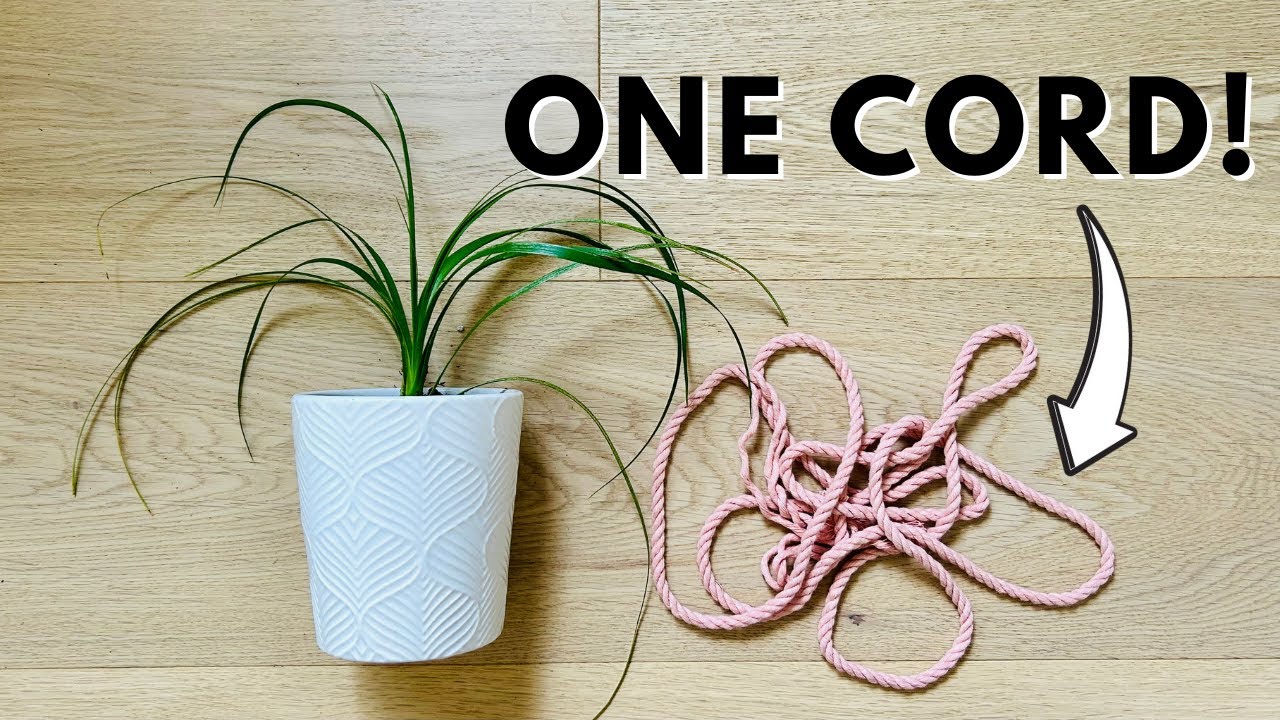 Simple Macrame Plant Hanger - Quick & Easy DIY Plant Hanger