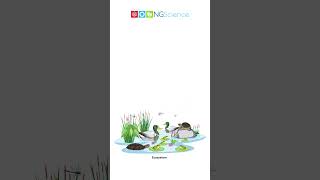 Pond Ecosystems #shorts #ngscience