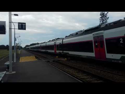 Compilation de klaxons de trains 1