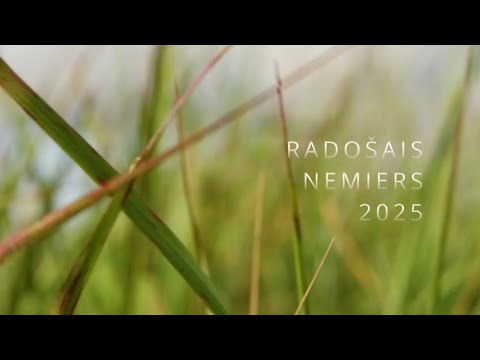 Radošais Nemiers 2025