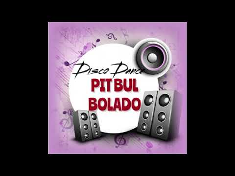 PIT BULL BOLADO