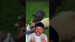 Famous Dex, Rich The Kid &amp; Jay Critch - Big Dawg (Official Video) #qsflowreaction #qsflowto1million