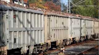 preview picture of video 'Bad Bentheim Bahnhof'