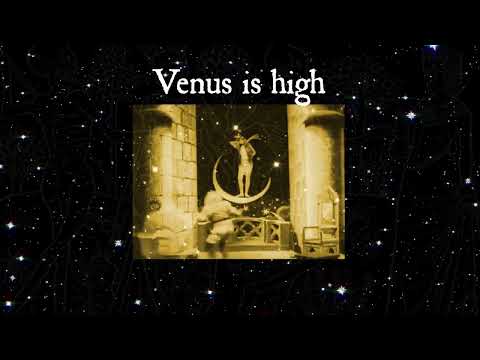 T. Jarva & The Dark Place: Venus is High