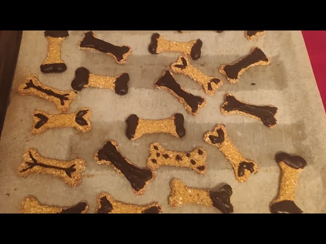 Judge.me YouTube video placeholder