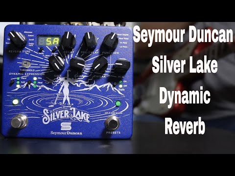 Silver Lake Dynamic Reverb Quick Listen Demo Video by Shawn Tubbs