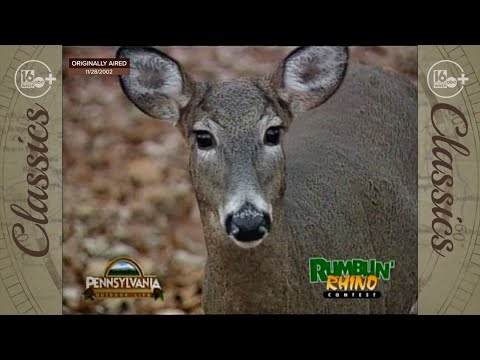 POL Classics Ep. 39  11/28/2002