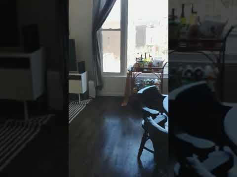 3328 N. Clark Street - Video 2 of 2