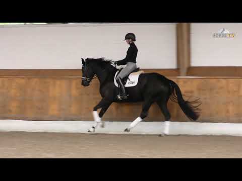 Don Nobless x Sandro Hit x Donnerhall