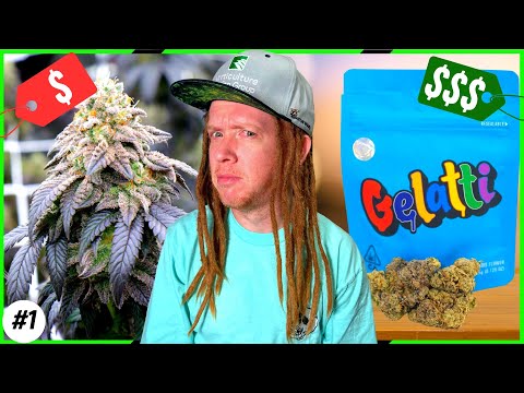 🌱Home Grown Buds: The Surprising Truth