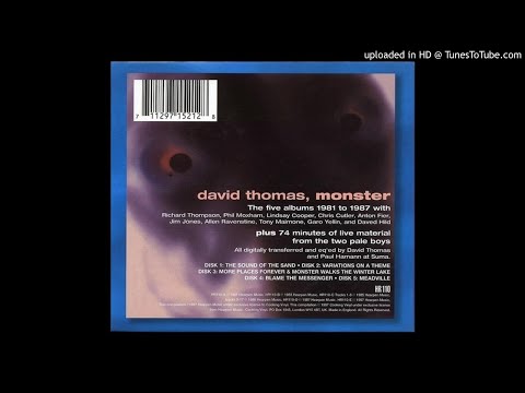 David Thomas & Two Pale Boys - Beach Boys